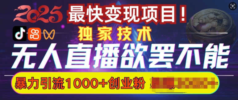 欲罢不能的无人直播引流，超暴力日引流1000+高质量精准创业粉-比钱轻创