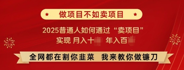 必看，做项目不如卖项目，2025普通人如何通过“卖项目”实现月入十个，年入百个-比钱轻创