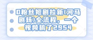 0粉丝短剧拉新(河马剧场)全流程，一个视频搞了2954-比钱轻创