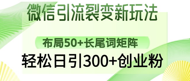 微信引流裂变新玩法：布局50+长尾词矩阵，轻松日引300+创业粉-比钱轻创