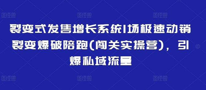 裂变式发售增长系统1场极速动销裂变爆破陪跑(闯关实操营)，引爆私域流量-比钱轻创
