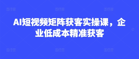 AI短视频矩阵获客实操课，企业低成本精准获客-比钱轻创
