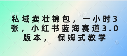 私域卖壮锦包，一小时3张，小红书蓝海赛道3.0版本， 保姆式教学-比钱轻创