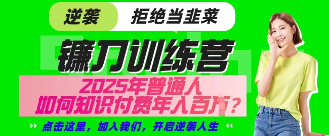【网创项目终点站-镰刀训练营超级IP合伙人】25年普通人如何通过知识付费实现逆袭【揭秘】-比钱轻创