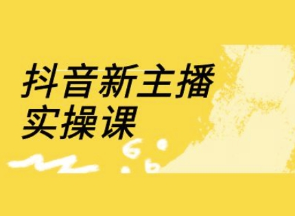 抖音新主播实操课，直播间流量运营线上实操课(18节)-比钱轻创