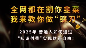 全网都在割你韭菜，我来教你做镰刀，2025普通人如何通过知识付费，实现财F自由【揭秘】-比钱轻创