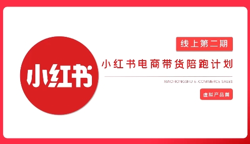 2025小红书虚拟电商实战课，从0到1打造无货源店铺，AI+爆款笔记轻松变现-比钱轻创