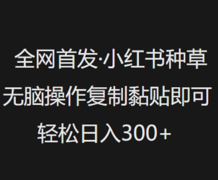 全网首发，小红书种草无脑操作，复制黏贴即可，轻松日入3张-比钱轻创
