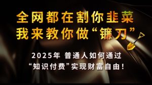 全网都在割你韭菜，我来教你做镰刀,2025普通人如何通过知识付费，实现财F自由【揭秘】-比钱轻创