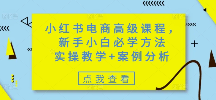 小红书电商高级课程，新手小白必学方法，实操教学+案例分析-比钱轻创