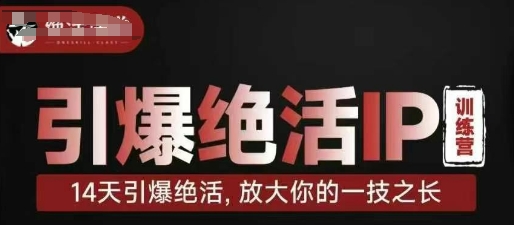 引爆绝活IP训练营，14天引爆绝活，放大你的一技之长-比钱轻创