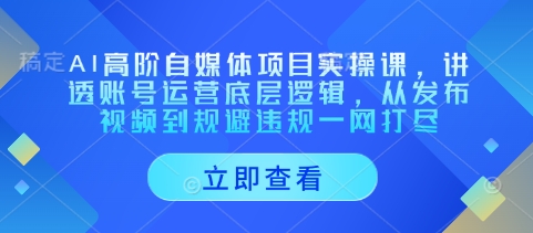 AI高阶自媒体项目实操课，讲透账号运营底层逻辑，从发布视频到规避违规一网打尽-比钱轻创