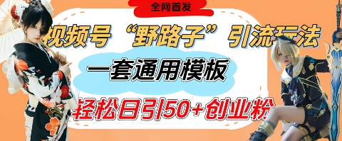 视频号“野路子”玩法，评论区疯狂截流，一套模板单日单号引流50+创业粉-比钱轻创