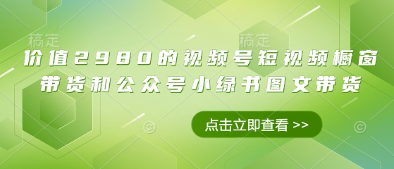 价值2980的视频号短视频橱窗带货和公众号小绿书图文带货-比钱轻创