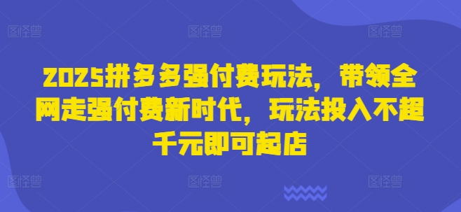 2025拼多多强付费玩法，带领全网走强付费新时代，玩法投入不超千元即可起店-比钱轻创
