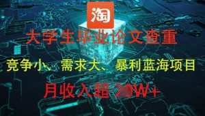 大学生毕业论文查重，暴利蓝海项目，月收入过1W+-比钱轻创