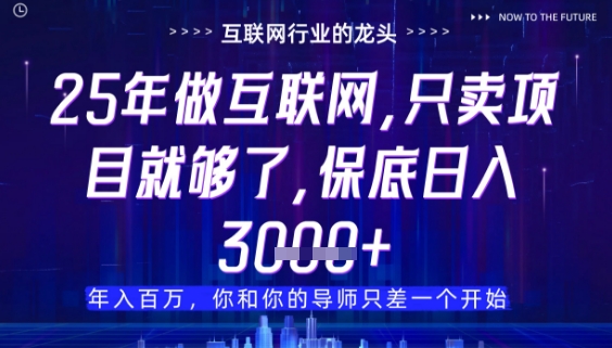 什么！25年你还在找项目做？风口早就变了，卖项目才是稳挣不赔【揭秘】-比钱轻创