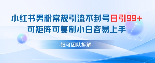 小红书男粉常规引流不封号日引99+变现简单 可矩阵可复制小白容易上手-比钱轻创
