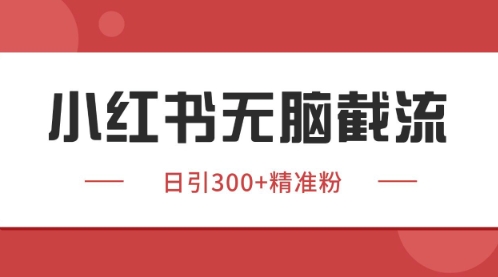 小红书只要你有同行就能获客，独家野路子获客玩法，暴力截流【揭秘】-比钱轻创