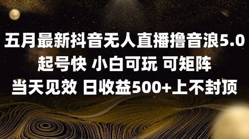 2025五月最新无人直播撸音浪单日产出5张+实操教程【揭秘】-比钱轻创