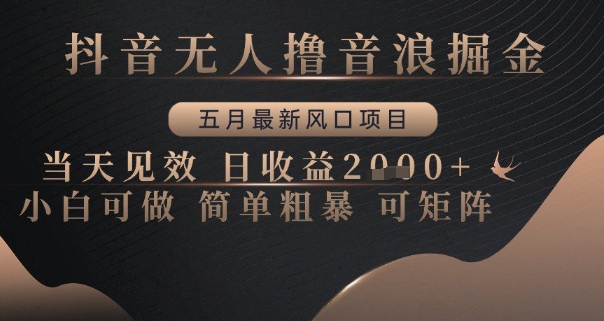 抖音无人撸音浪掘金，五月最新风口项目，当天见效，日收益多张，小白可做简单粗暴可矩阵【揭秘】-比钱轻创