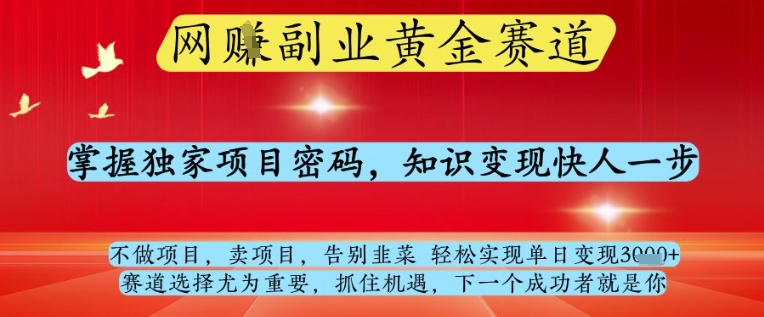 网创副业黄全赛道，掌握独家项目密码，知识变现快人一步，告别韭菜轻松实现单日变现1k+【揭秘】-比钱轻创