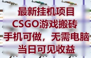 最新挂G项目，CSGO游戏搬砖，手机可做，无需电脑，当日见收益【揭秘】-比钱轻创