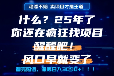什么？25年你还在疯狂找项目做，醒醒吧，看完这些你全都懂了！【揭秘】-比钱轻创