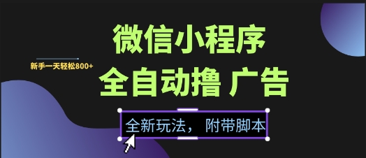 微信小程序全自动撸广告项目，彻底解决没流量的问题，新手一天8张+【揭秘】-比钱轻创