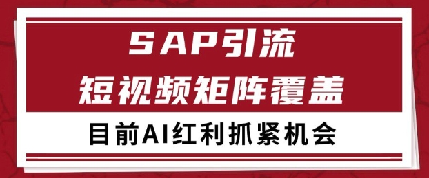 小红书某音sap赛道引流获客 自热矩阵日引200+【揭秘】-比钱轻创