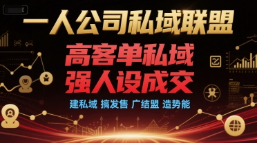 一人公司私域联盟，高客单私域，强人设成交，建私域 搞发售 广结盟 造势能-比钱轻创