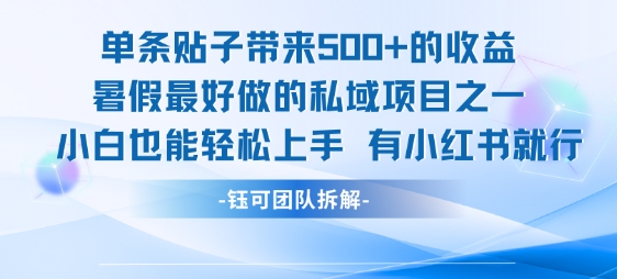 单条贴子带来5张的收益，暑假最好做的私域项目之一，小白也能轻松上手，有小红书就行-比钱轻创