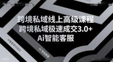 跨境私域线上高级课程，跨境私域极速成交3.0+Ai智能客服-比钱轻创