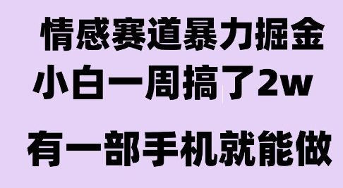 情感暴力掘金项目，新人操作一周挣了2W，长期稳定小白可做【揭秘】-比钱轻创