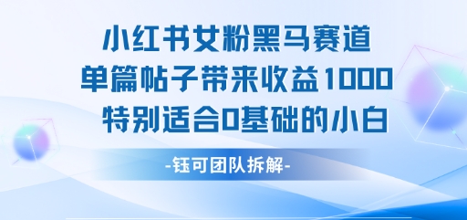 小红书女粉黑马赛道单篇帖子带来收益1k+，特别适合0基础的小白-比钱轻创