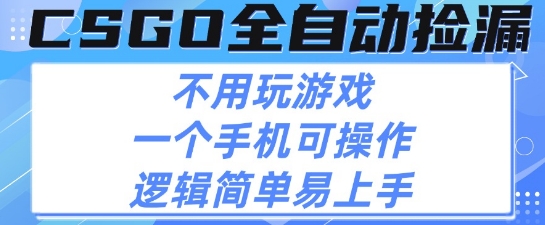 CSGO自动捡漏项目，最新独家玩法，不用挂G不用玩游戏，一个手机即可操作，新手小白轻松月入1W+【揭秘】-比钱轻创