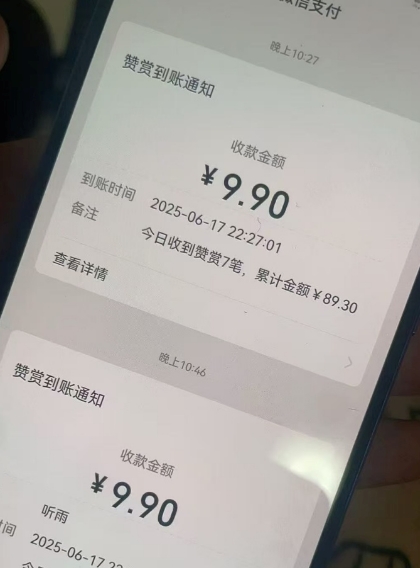二次元男粉快速变现项目，私域卖虚拟产品，百分利润-比钱轻创