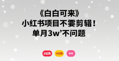 小白可来 小红书项目不需要剪辑 单月3w不是问题-比钱轻创