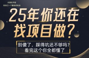 25年，你还在疯狂的找项目吗？别傻了，看完这个你都懂了【揭秘】-比钱轻创