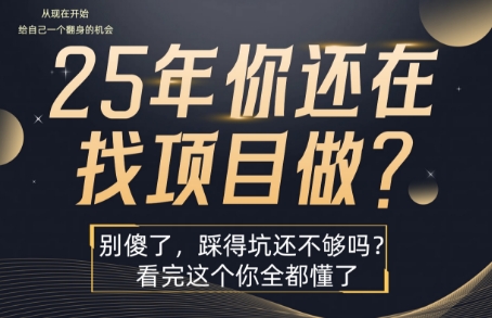 25年，你还在疯狂的找项目吗？别傻了，看完这个你都懂了【揭秘】-比钱轻创