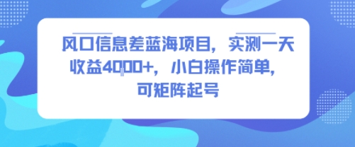风口信息差蓝海项目，实测一天收益4k+，小白操作简单，可矩阵起号-比钱轻创