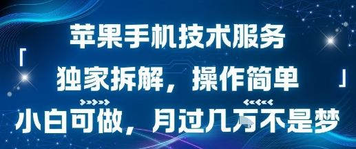 苹果手机技术服务，独家拆解，操作简单，小白可做，月过1W不是梦-比钱轻创