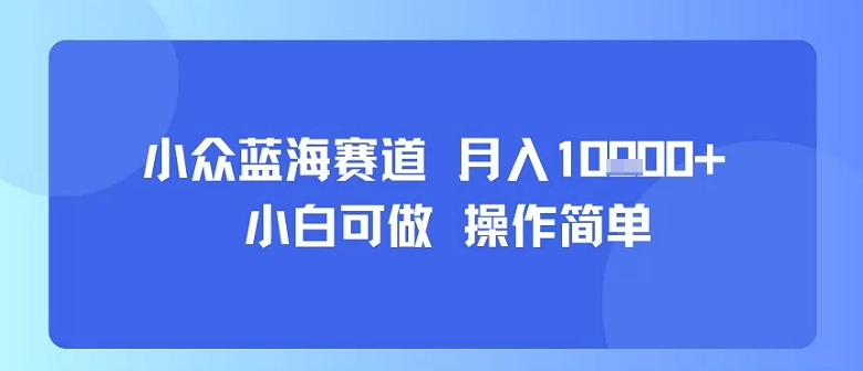 小众蓝海赛道，小白可做，操作简单，每天30分钟，月入1W+-比钱轻创