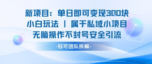 新项目单日即可变现3张的小白玩法无脑操作不封号安全引流-比钱轻创
