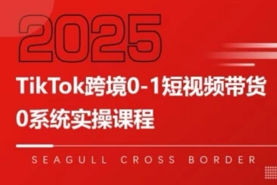 TikTok跨境0-1短视频带货，系统拆解TikTok跨境带货全链路，实现跨境可持续盈利-比钱轻创
