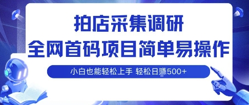 拍店采集调研，全网首码项目，简单易操作， 小白也能轻松上手，多账号操作，轻松日入5张【揭秘】-比钱轻创