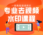 专业去视频水印教程 静态水印、动态水印、文字水印、图片水印一套教程通通搞定-比钱轻创