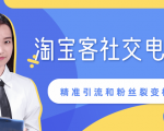 某站内部课程：淘宝客社交电商裂变，精准引流和粉丝裂变模式详解（共6节视频）-比钱轻创
