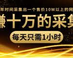 年赚十万的采集站，每天却只需要1小时，一年时间采集出一个售价10W以上的网站-比钱轻创