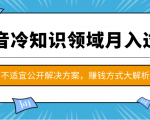 抖音冷知识领域月入过万项目，不适宜公开解决方案 ，抖音赚钱方式大解析！-比钱轻创